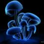 @olegpshen6507