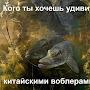 @antoniogrein1303