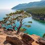@BaikalGarden