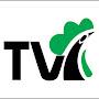 @TVGallo7