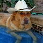 @cowboydoggy7697