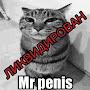 @dooexxd7694