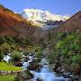 @nasreenanees1767