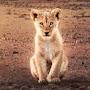 @amirsarwary5059