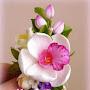 @chemuniganimuralibabu9371