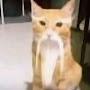 @louis7wyqvj5