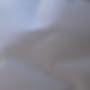 @chrisloriaux2184