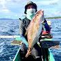 @MancingLurrrPalu