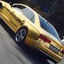 @goldstar1664