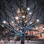 @Dmitriy_Olegovich_95
