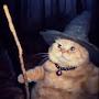 @Wizardcat63873