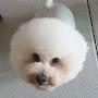 @조종인-w8c