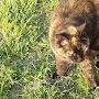 @CatsWarriors-o3e