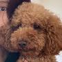 @TeddyBear-dk7tk