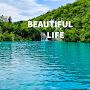 Beautiful LIFE