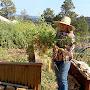 @mountaingardenamma8730