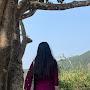 @Seemakhanal_