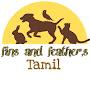 Fins And Feathers -- தமிழ்