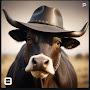 @Beef5
