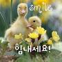 @오로라-m8y