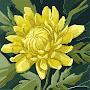 @zakariaelhalbi2081