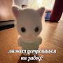 @odinoki_dinozaurik