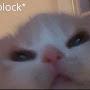@ngocket1039
