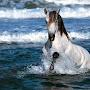 @raniaahmad8116