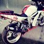 @goral758