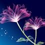 @Gedeon574