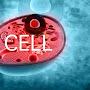 @cell.1