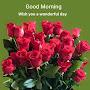 @venkatgopisetti2876