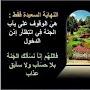 @mohamedmiloudi4042
