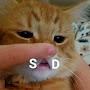 @badbadnotgood9816