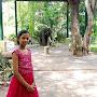 @Varsha-y-k