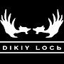 @dikiy_losb