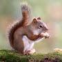 @thulanipaulmhlambi8461