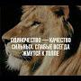 @АхмедАхмедгаджиев-г5ж