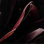 @crimsonlofi1753
