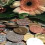 Olesya's coins