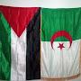 @محمدالفاتح-و3غ