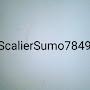 ScalierSumo7849