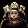 Cat Samurai