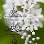@zuleighaabderoef5094