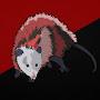 BlackandRed_Opossum