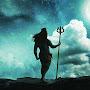 @shivkrishnajaiswal8394