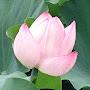 @smile-oc2qh