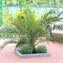 @wapptv5078