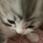 @Маша-трирубляиваша