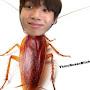@coakroachesbannedmefromkor6317